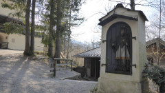 Birkenstein