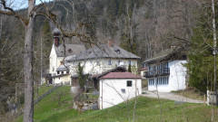 Birkenstein