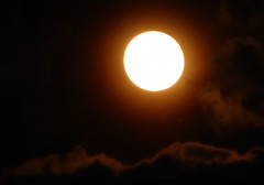 Pink Moon Supermond