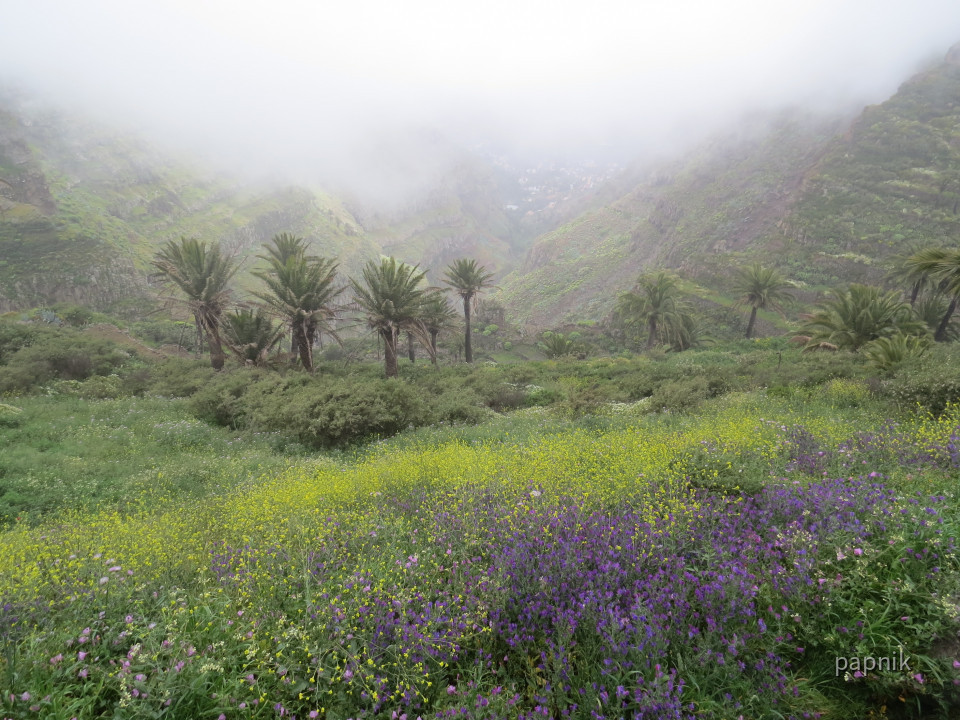 Valle San Rey