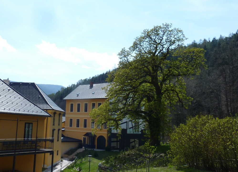 Reichenau und Umgebung