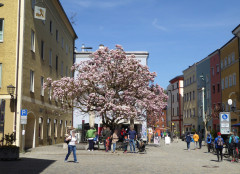 Wasserburg (10)