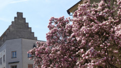 Wasserburg (13)