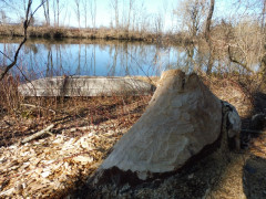 Wertachstausee Irsingen