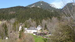 Birkenstein 26.4 (46)a