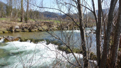 an der Leitzach  (4)