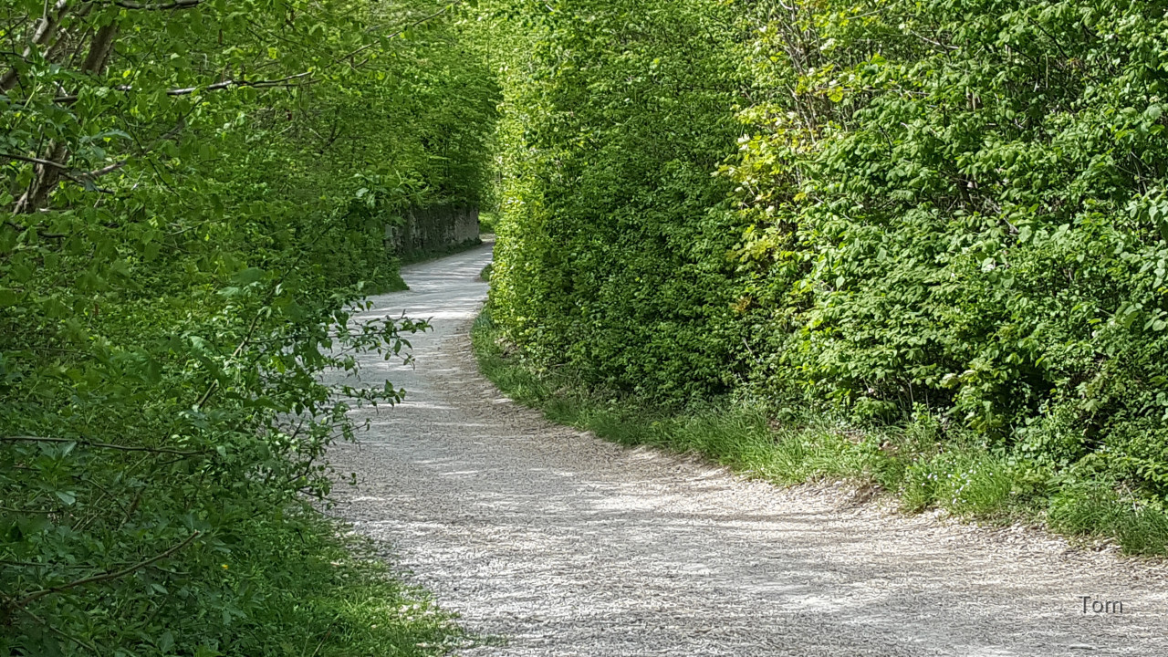 Weg2