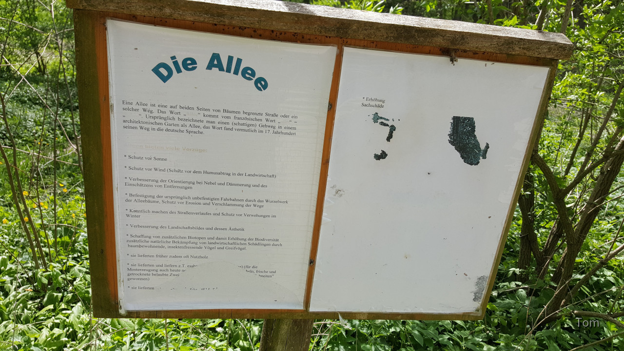 Beschreibung