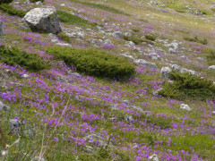 1 Nach Castel del Monte (4)
