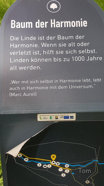 Beschreibung