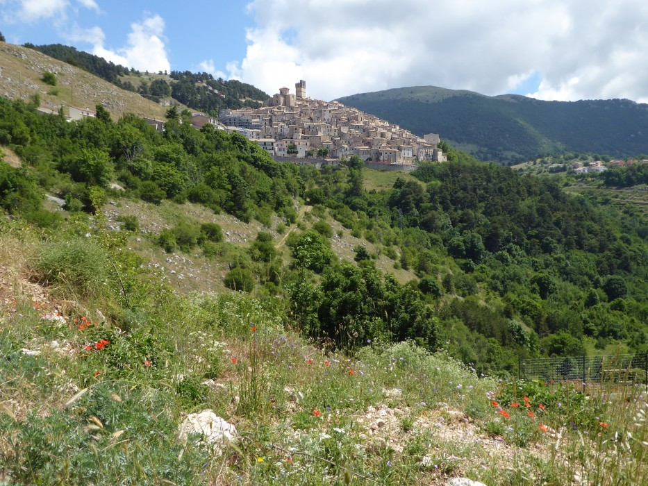 1 Nach Castel del Monte (8)