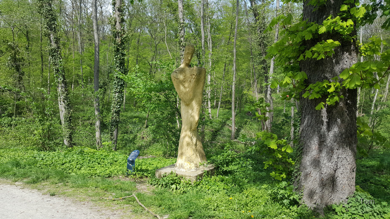 Mannersdorfer Wüste