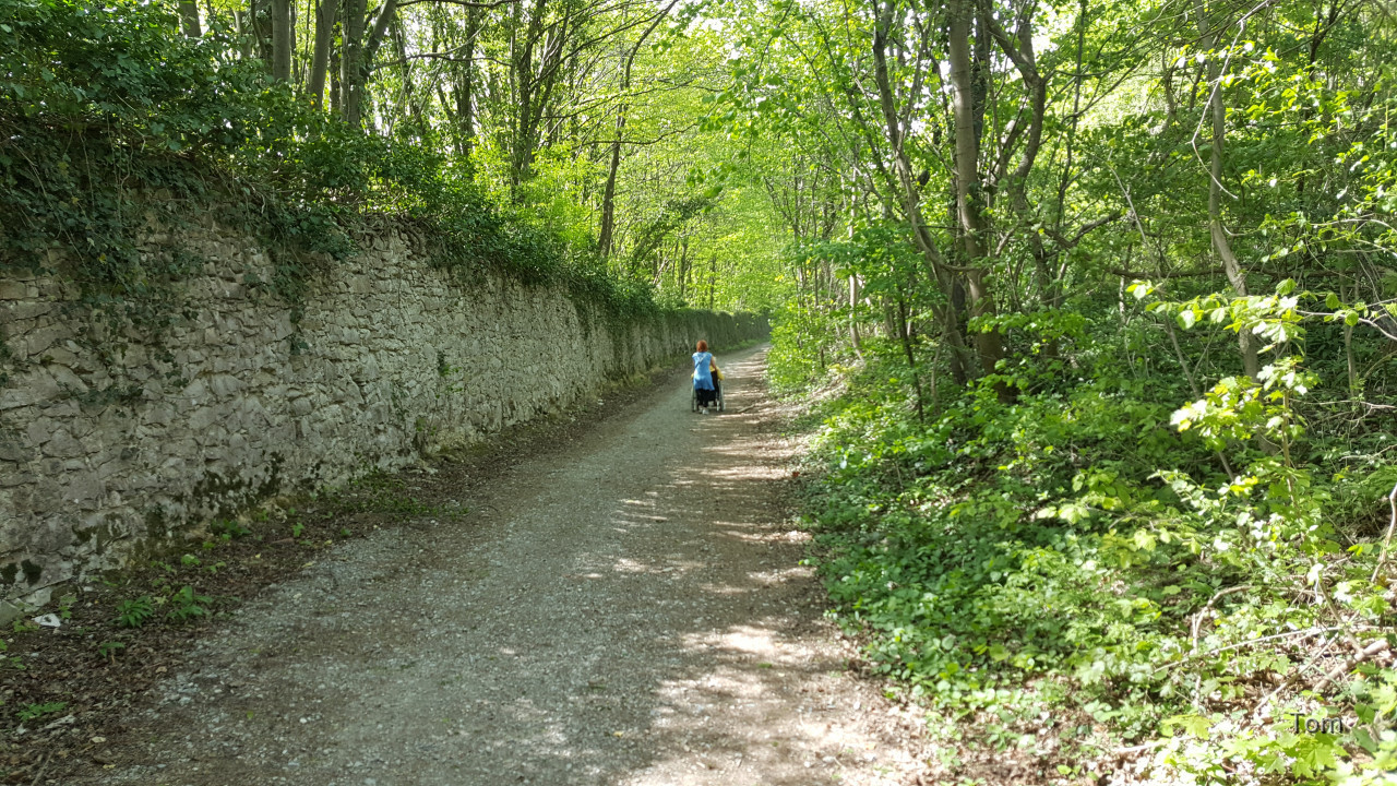 Mannersdorfer Wüste