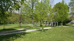 Mannersdorfer Wüste