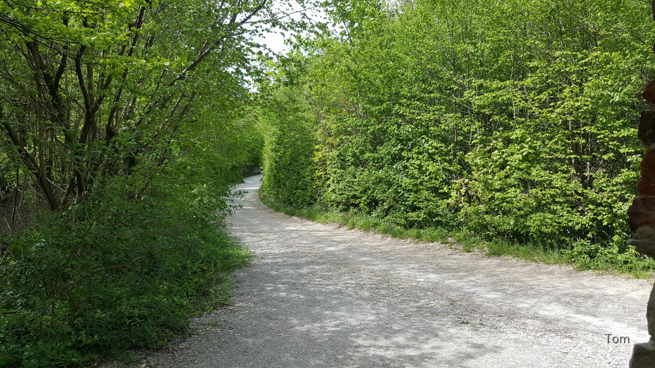 Mannersdorfer Wüste