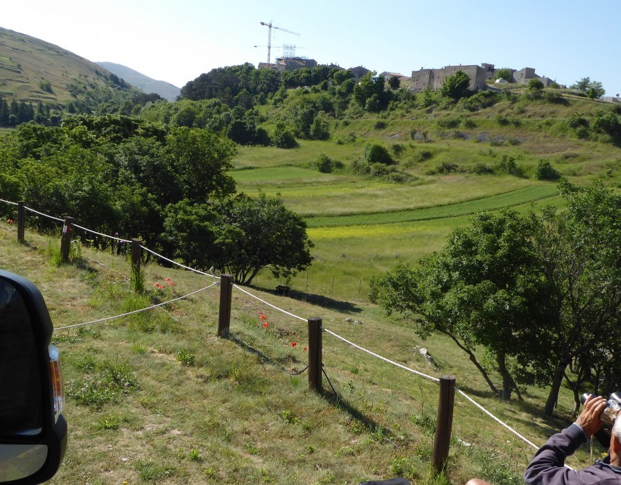 2 Camp Stefano (3)
