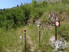 2 Camp Stefano (4)