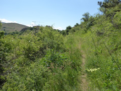 2 Camp Stefano (5)