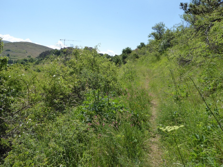 2 Camp Stefano (5)