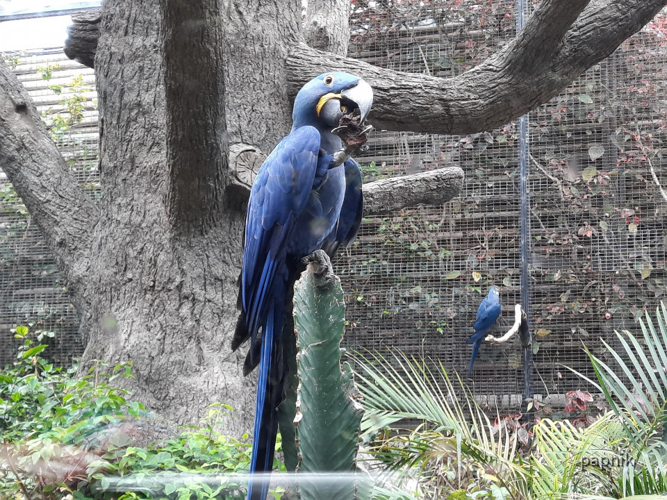 Loro Park