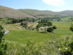 2 Camp Stefano (6)