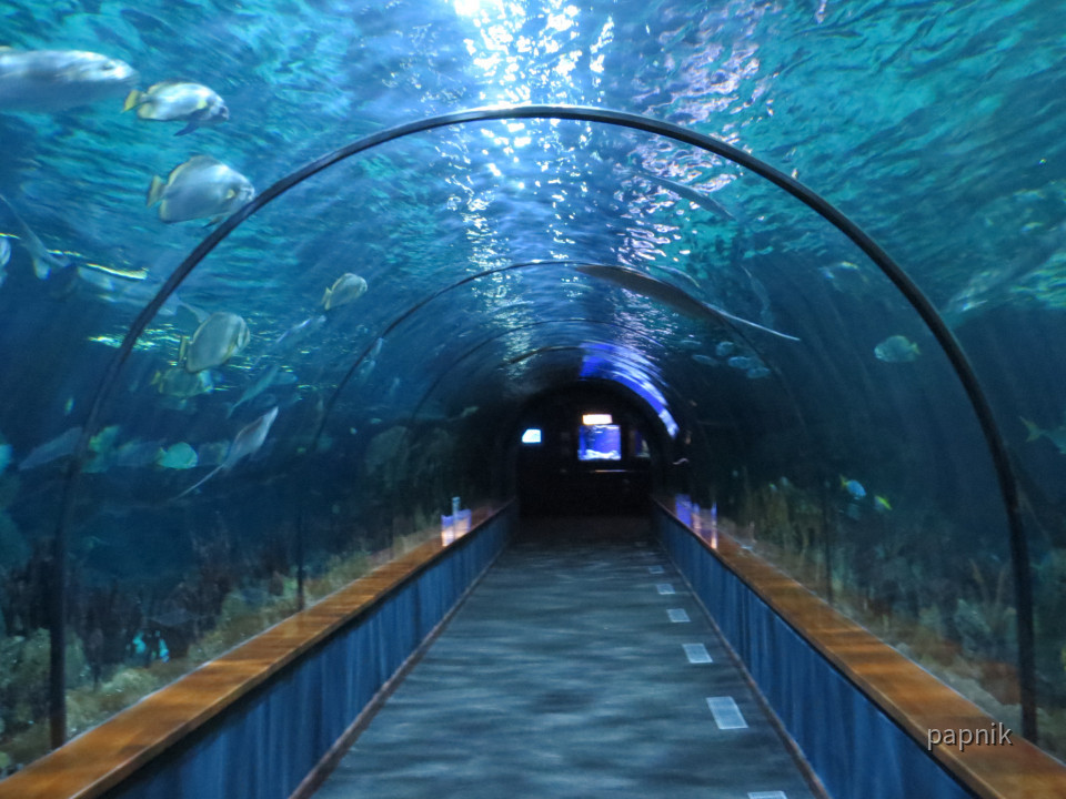 Aquarium