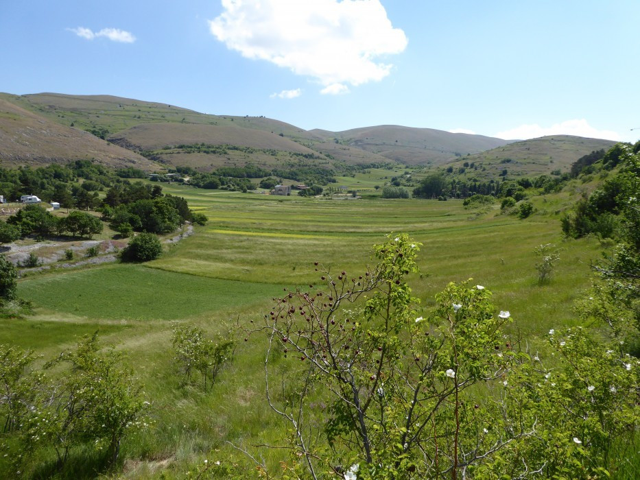 2 Camp Stefano (7)