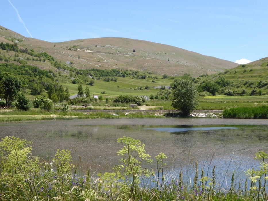 2 Camp Stefano (9)