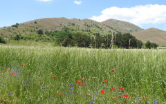 2 Camp Stefano (11)