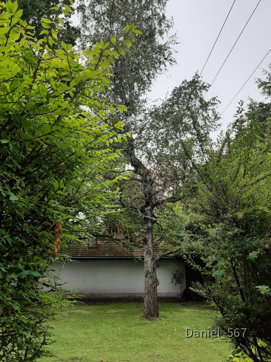 05_Lebring_Thaller