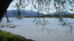 Fraueninsel 8.5.21