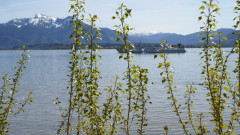 Fraueninsel 8.5.21
