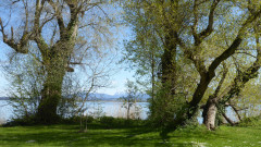 Fraueninsel 8.5.21