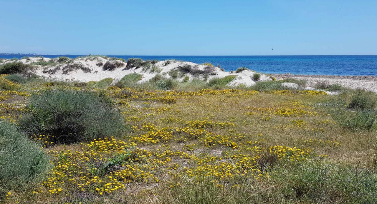 ?random=0&maxWidth=0&embedded=0&thumbnail=medium