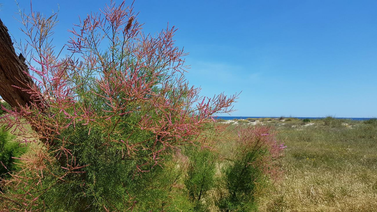 Mai-Spaziergang_16