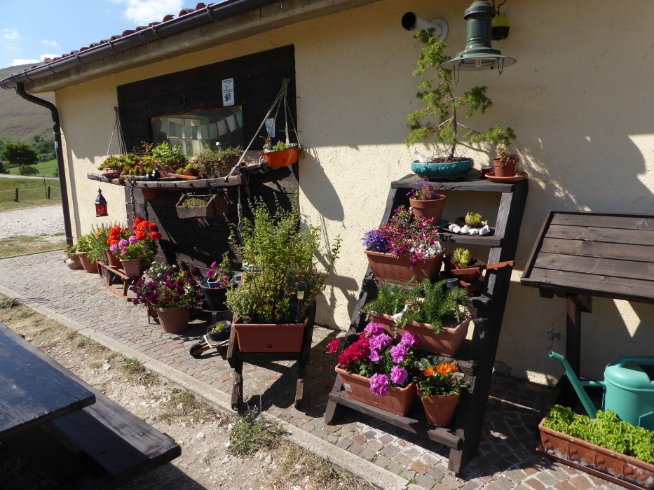 2 Camp Stefano (26)