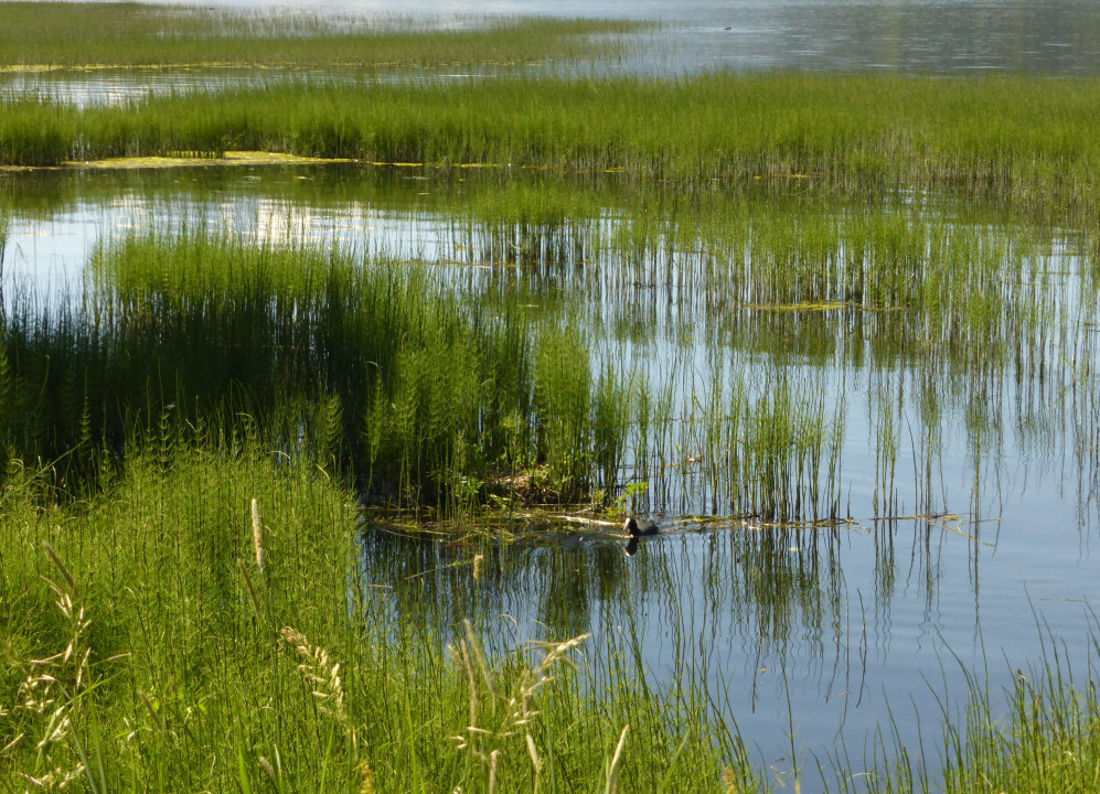 Burgeis Haidersee St. Martin (4)