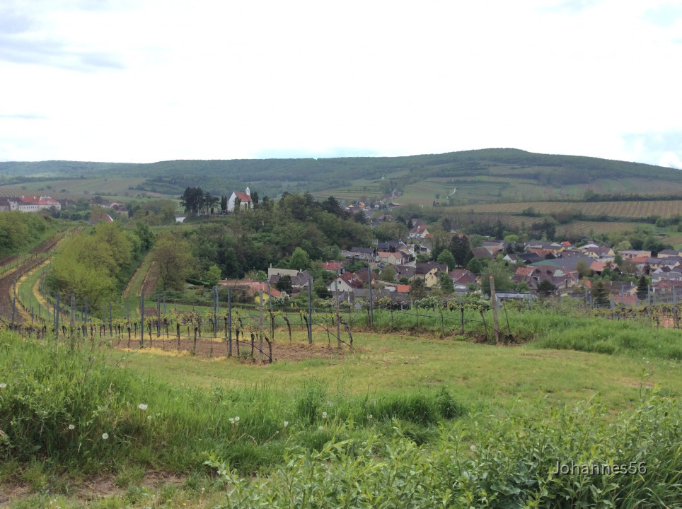 Mailberg < Nepomuk