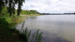 Müritz, Tiefwarensee