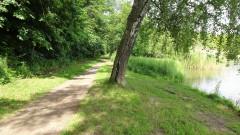 Müritz, Tiefwarensee