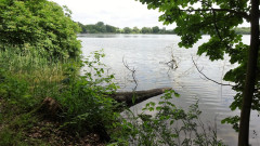 Müritz, Tiefwarensee