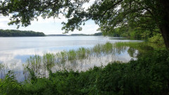Müritz, Tiefwarensee