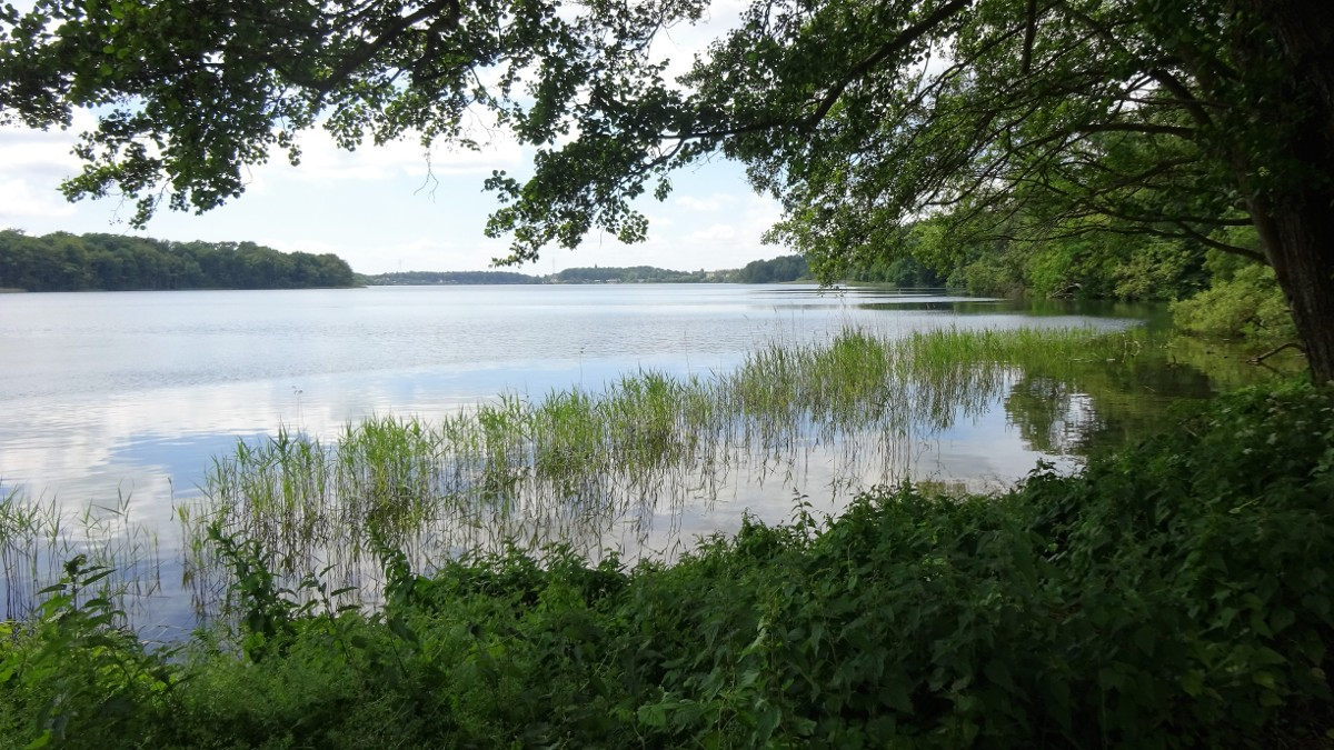 Müritz, Tiefwarensee