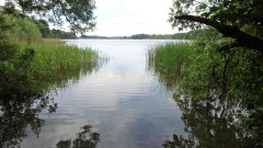 Müritz, Tiefwarensee
