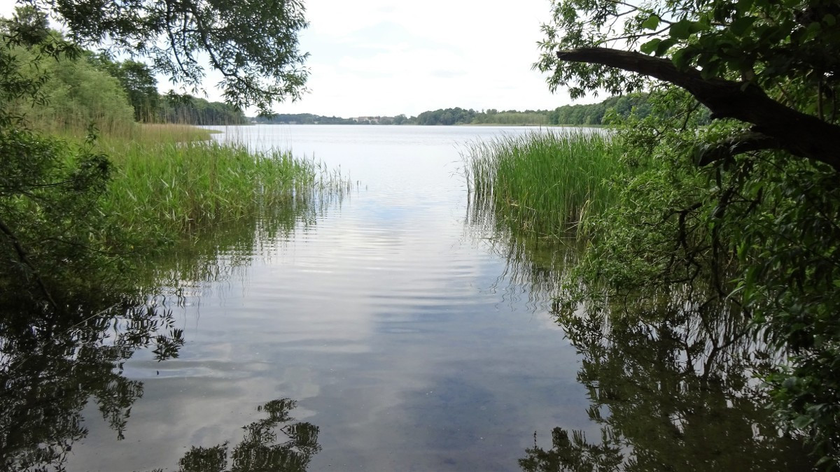 Müritz, Tiefwarensee