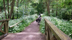 Müritz, Tiefwarensee