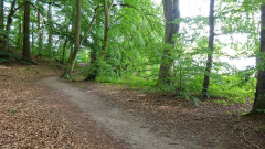 Müritz, Tiefwarensee