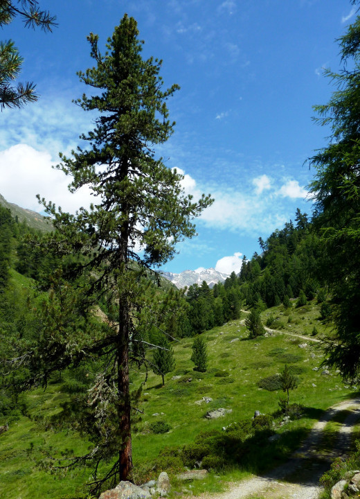 Vinschgau, 4. Teil