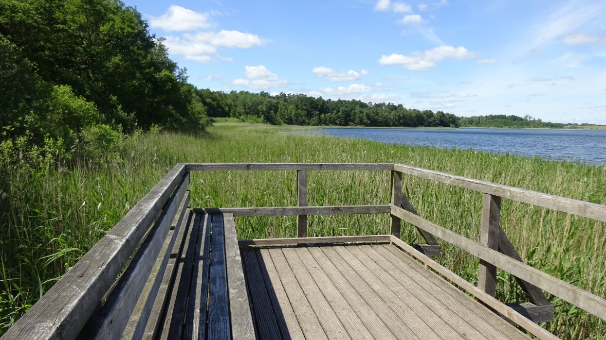 Müritz, Feisnecksee