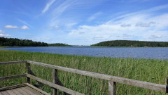 Müritz, Feisnecksee